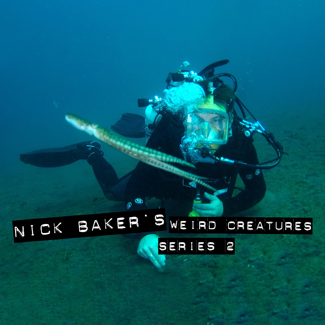 Nick Baker's Weird Creatures