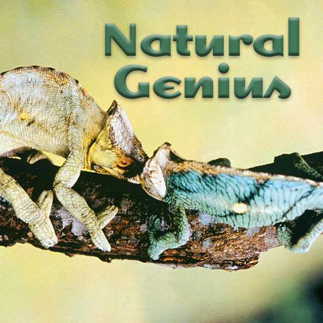 Natural Genius