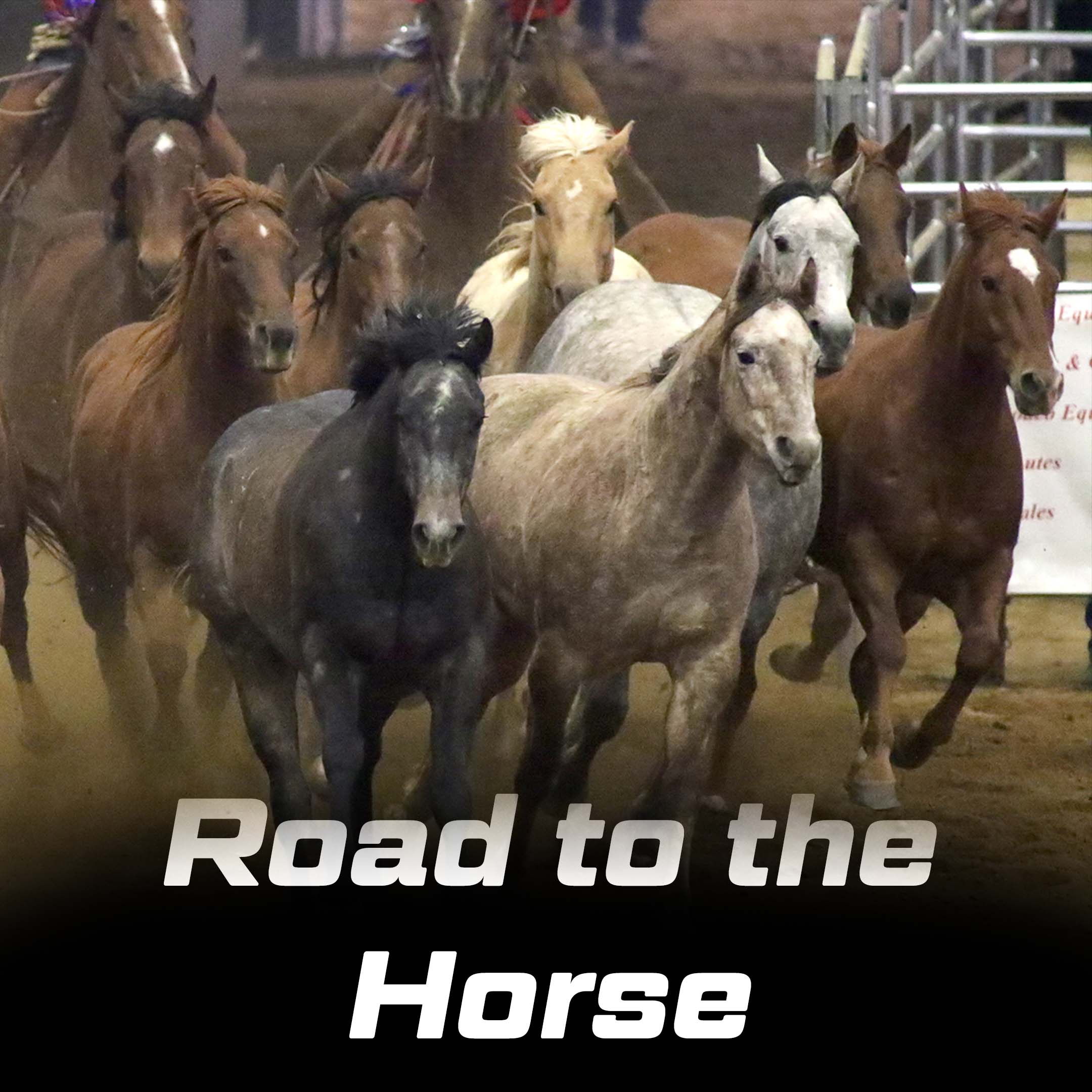 2022 Road to the Horse