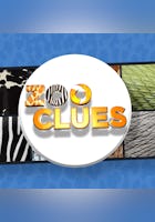 Zoo Clues