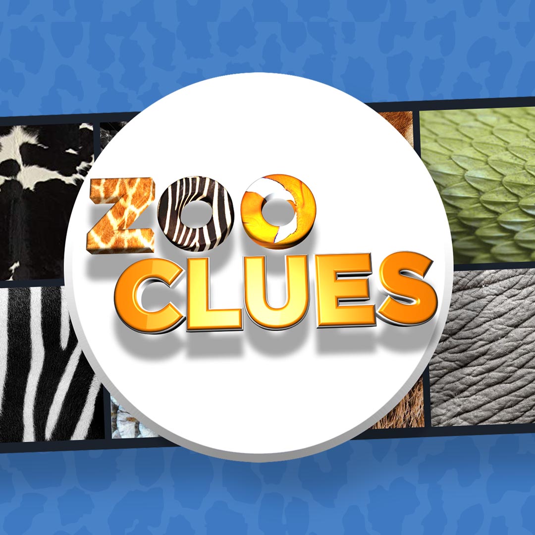 Zoo Clues