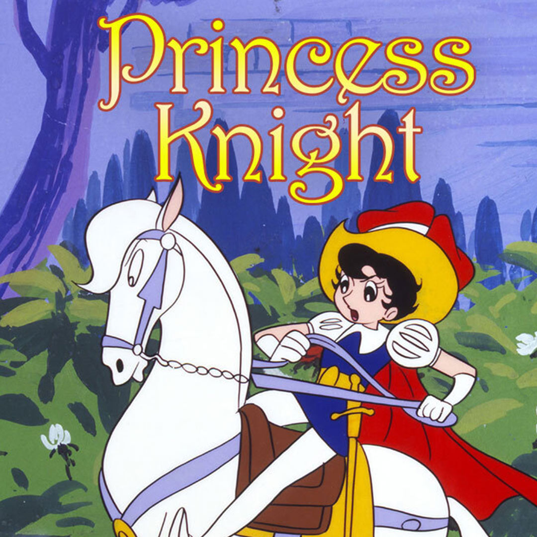Princess Knight (DMR)