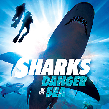 Sharks - Danger In the Sea