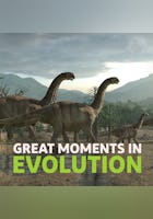 Great Moments in Evolution