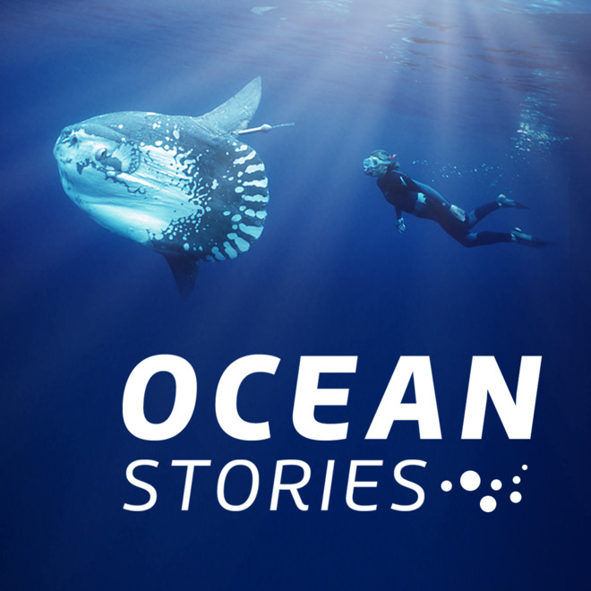 Ocean Stories