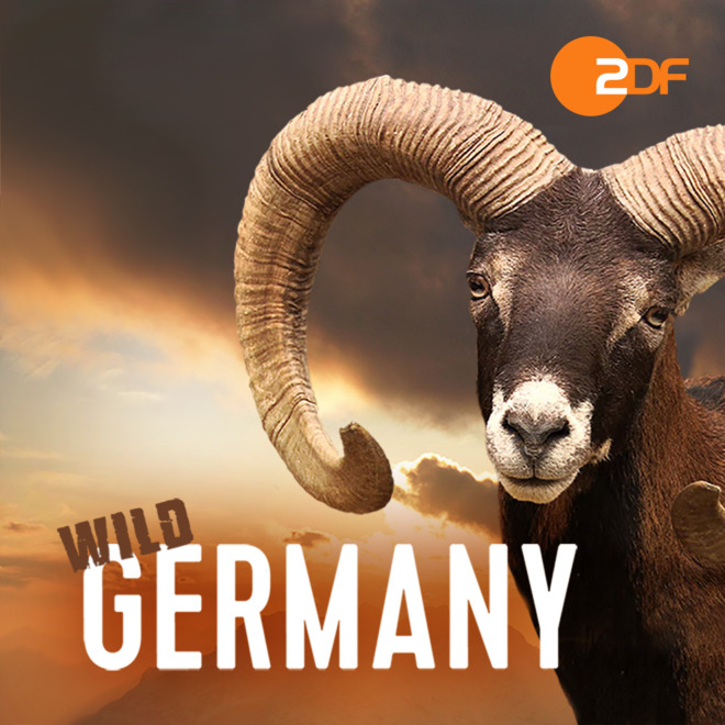 Wild Germany