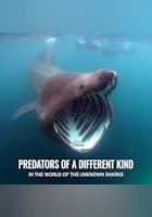 Predators of a Different Kind - In the World of the Unknown Sharks