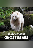 Search for the Ghost Bears