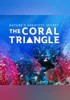 Nature's Greatest Secret - The Coral Triangle