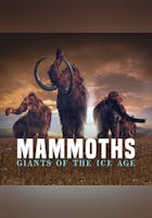 Mammoths - Giants of the Ice Age