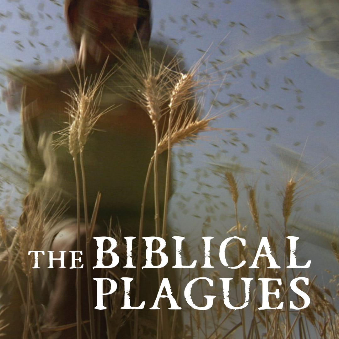 The Biblical Plagues