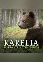 Karelia - Russia's Primeval Forests