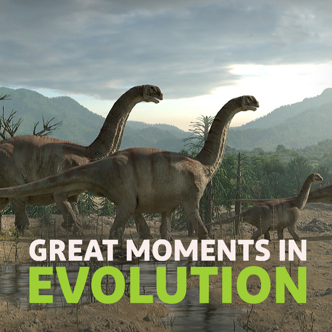 Great Moments in Evolution