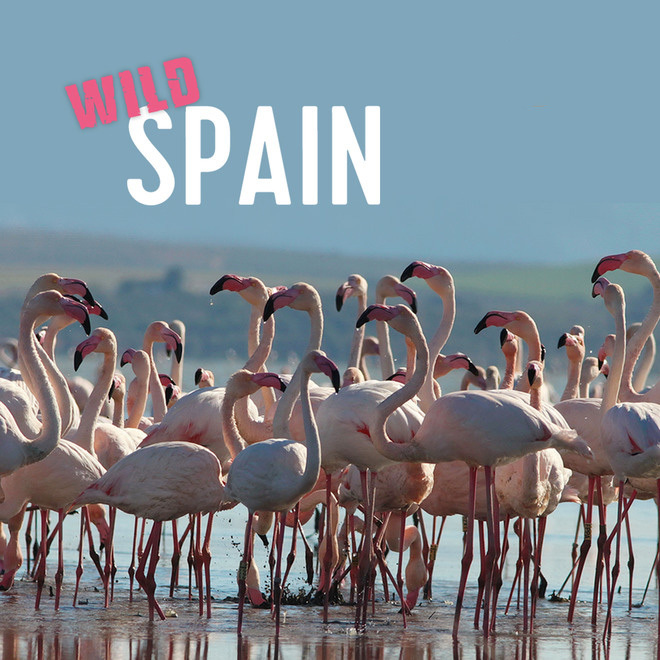 Wild Spain