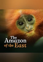 The Amazon of the East