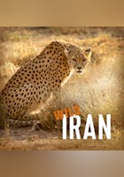 Wild Iran