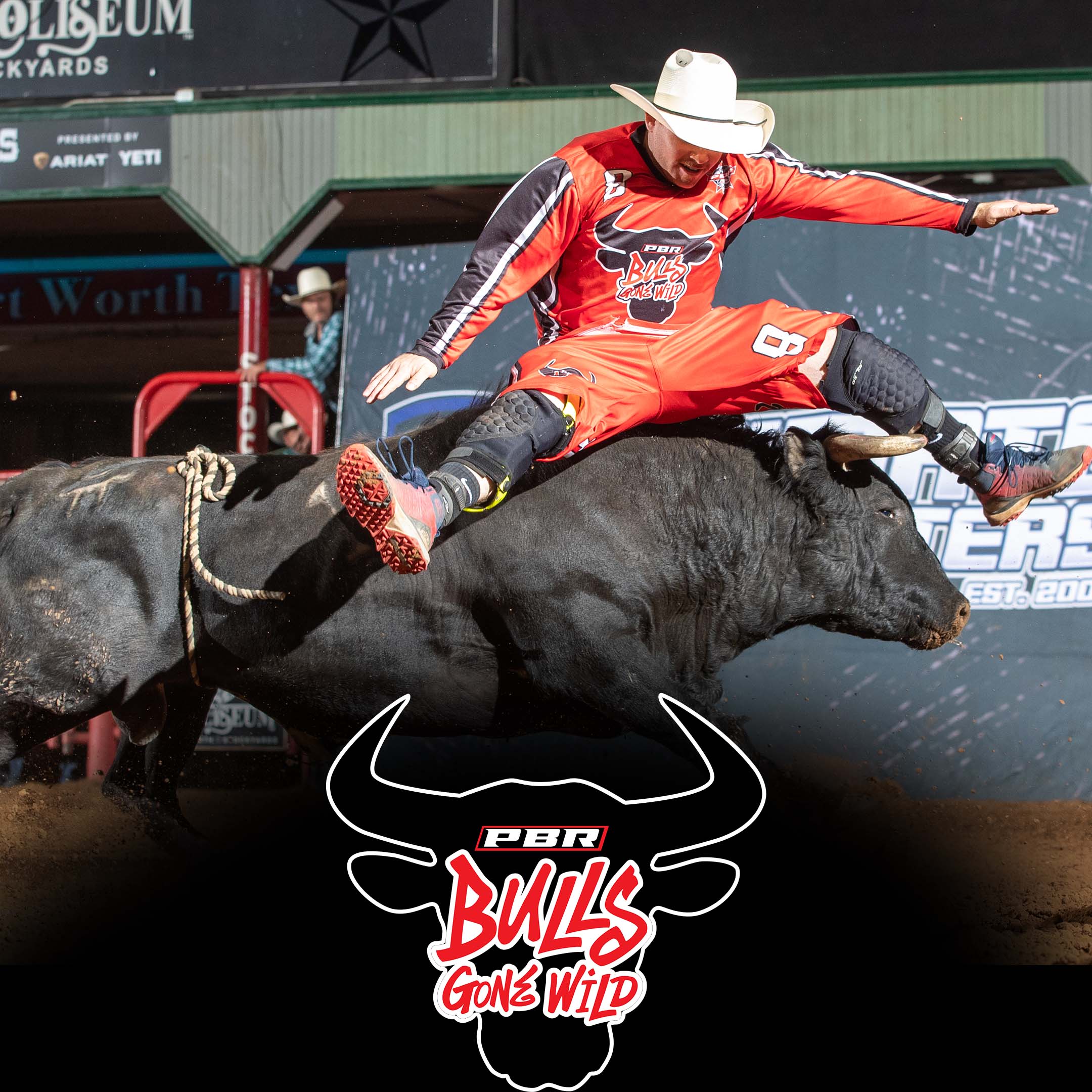 The Bulls Gone Wild