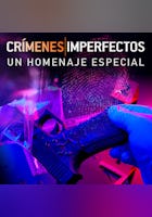 Crímenes imperfectos