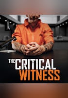 The Critical Witness