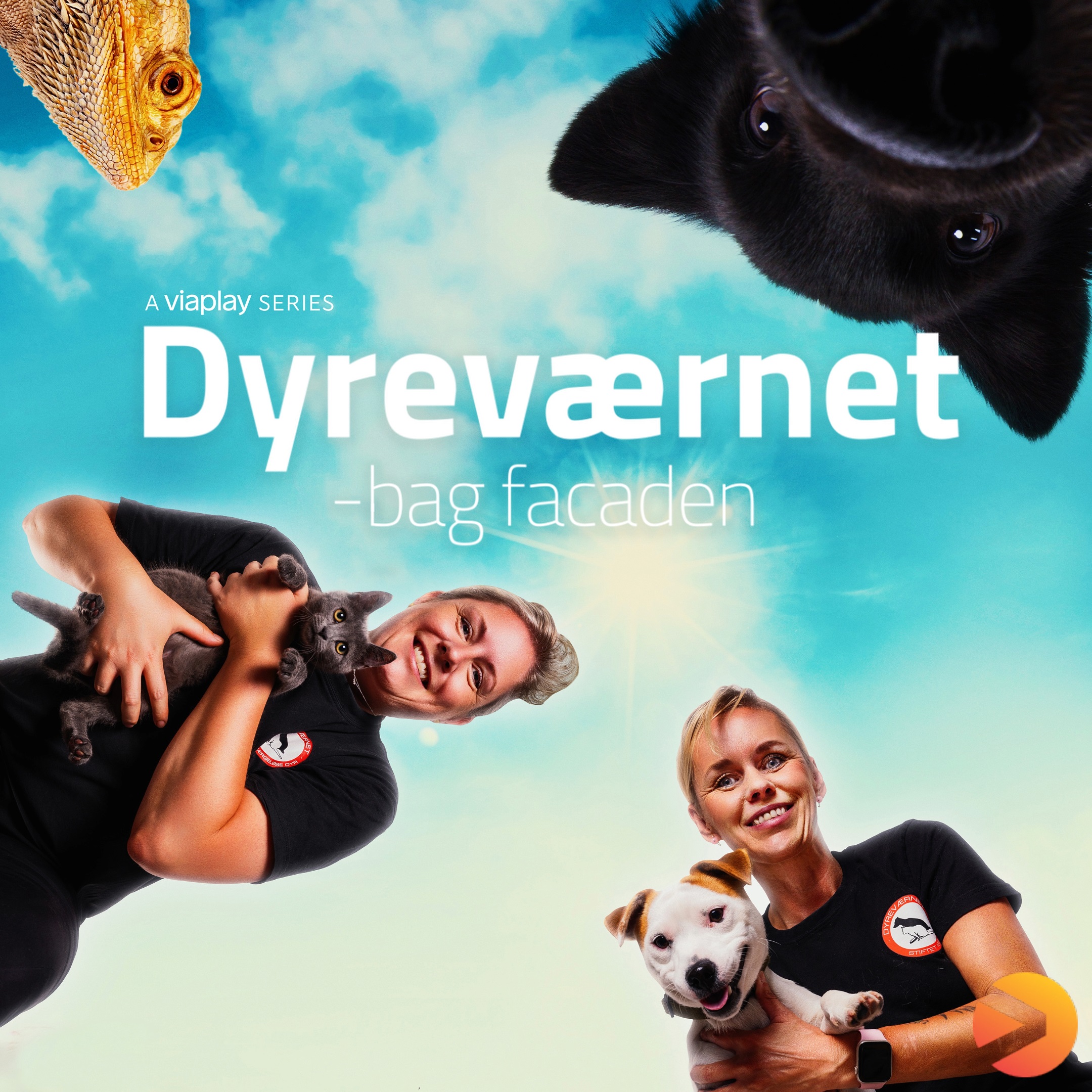 Dyreværnet – bag facaden
