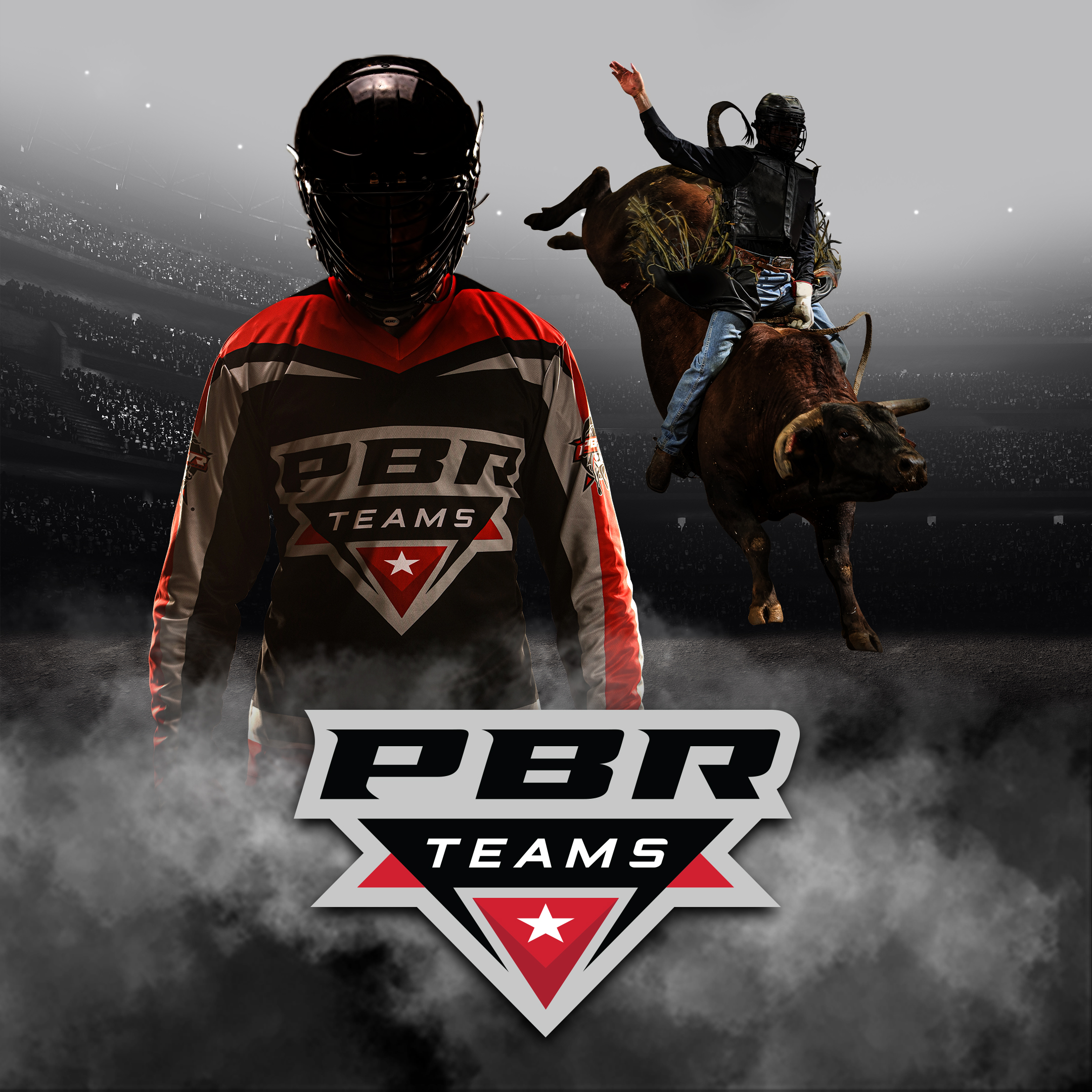 PBR Teams Series