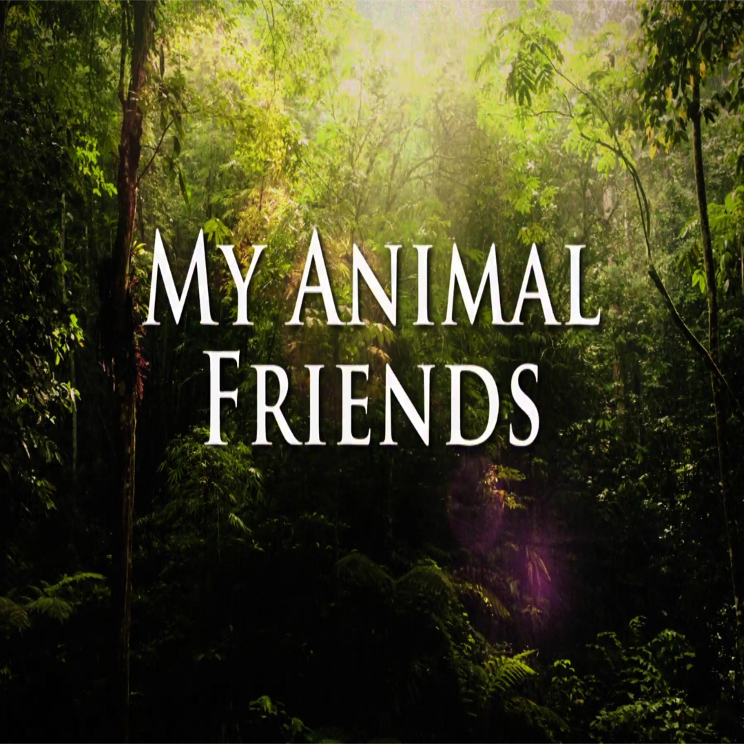 My Animal Friends