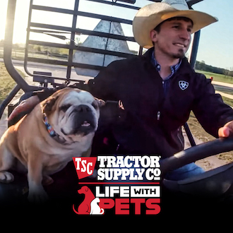 Life with Pets