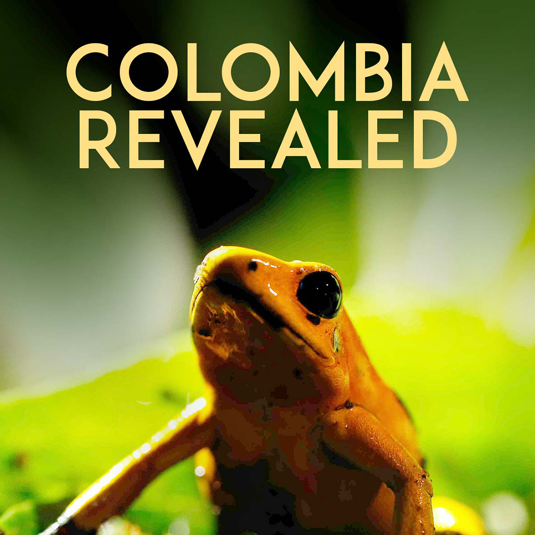 Colombia Revealed