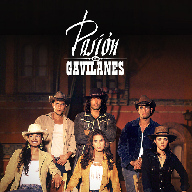 Pasión de gavilanes