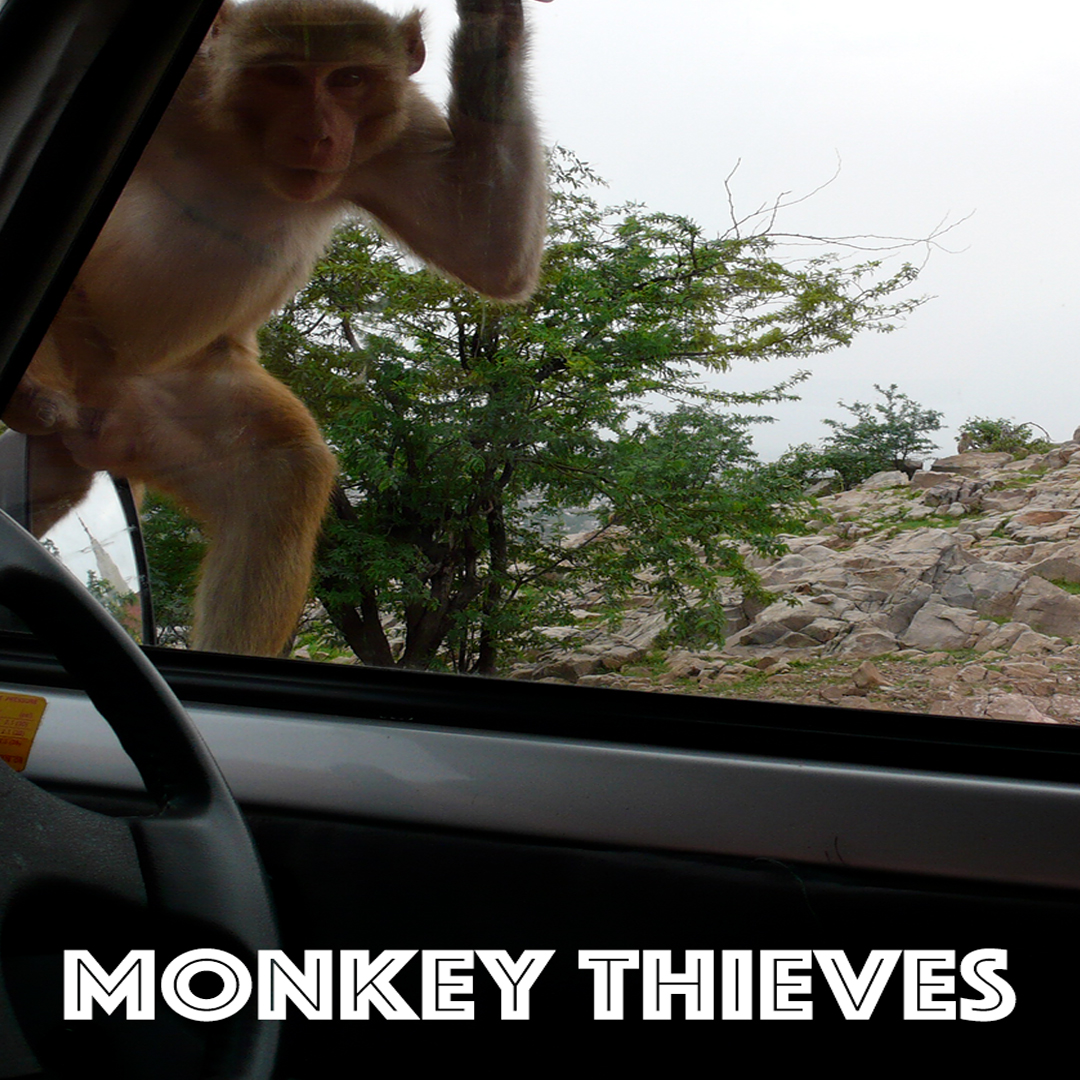 Monkey Thieves (Dooya)