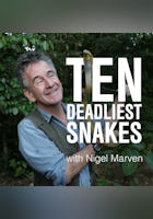 Nigel Marven's Deadliest Snakes