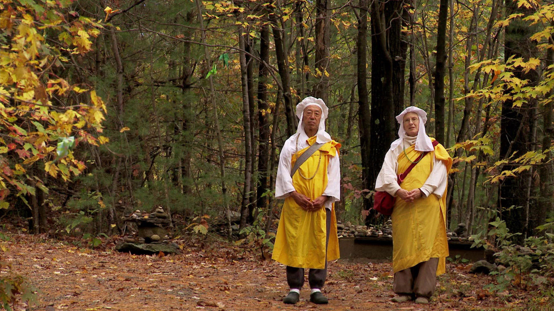 Backroads USA (Questar) on Pluto TV News and Inf