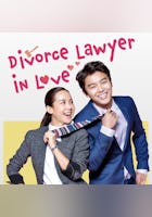 Divorce Lawyer in Love