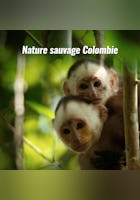 Nature sauvage : Colombie