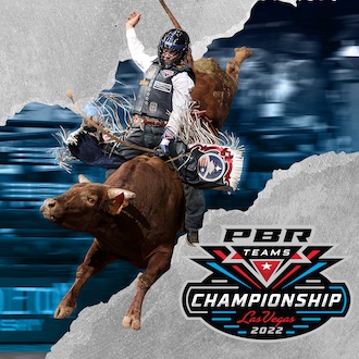 Team Series 2022 Championship