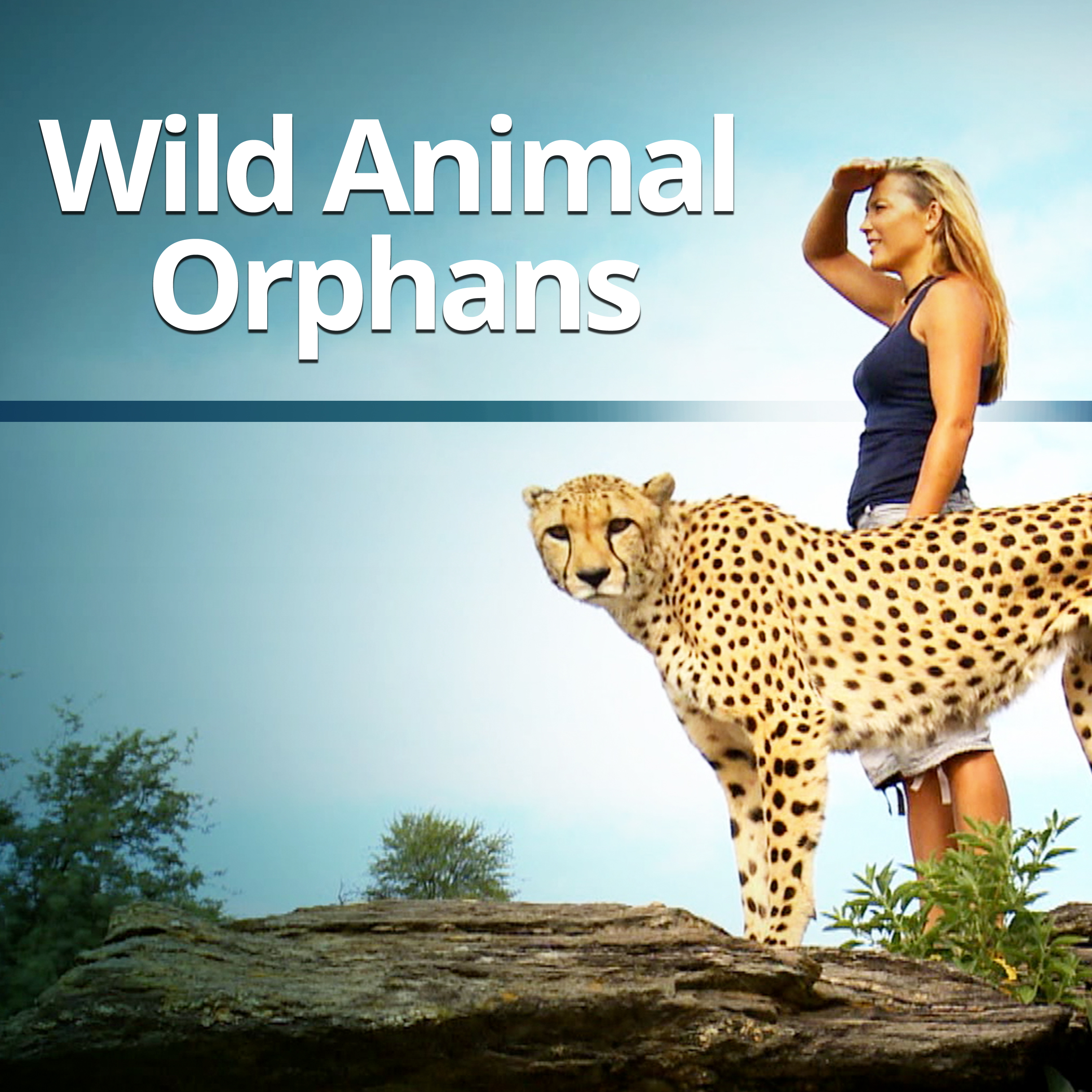 Wild Animal Orphans