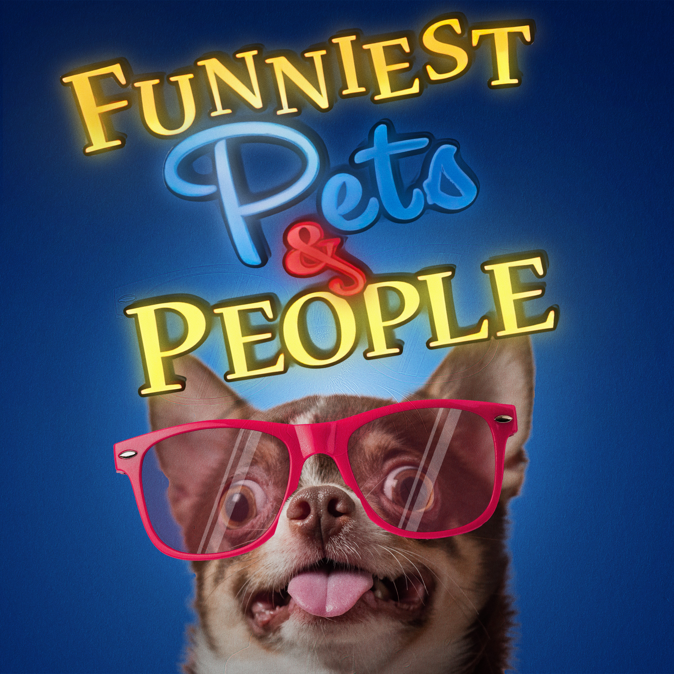 Funniest Pets & People