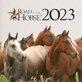 2023 Road to the Horse