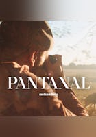 Pantanal - Instinto Fotográfico