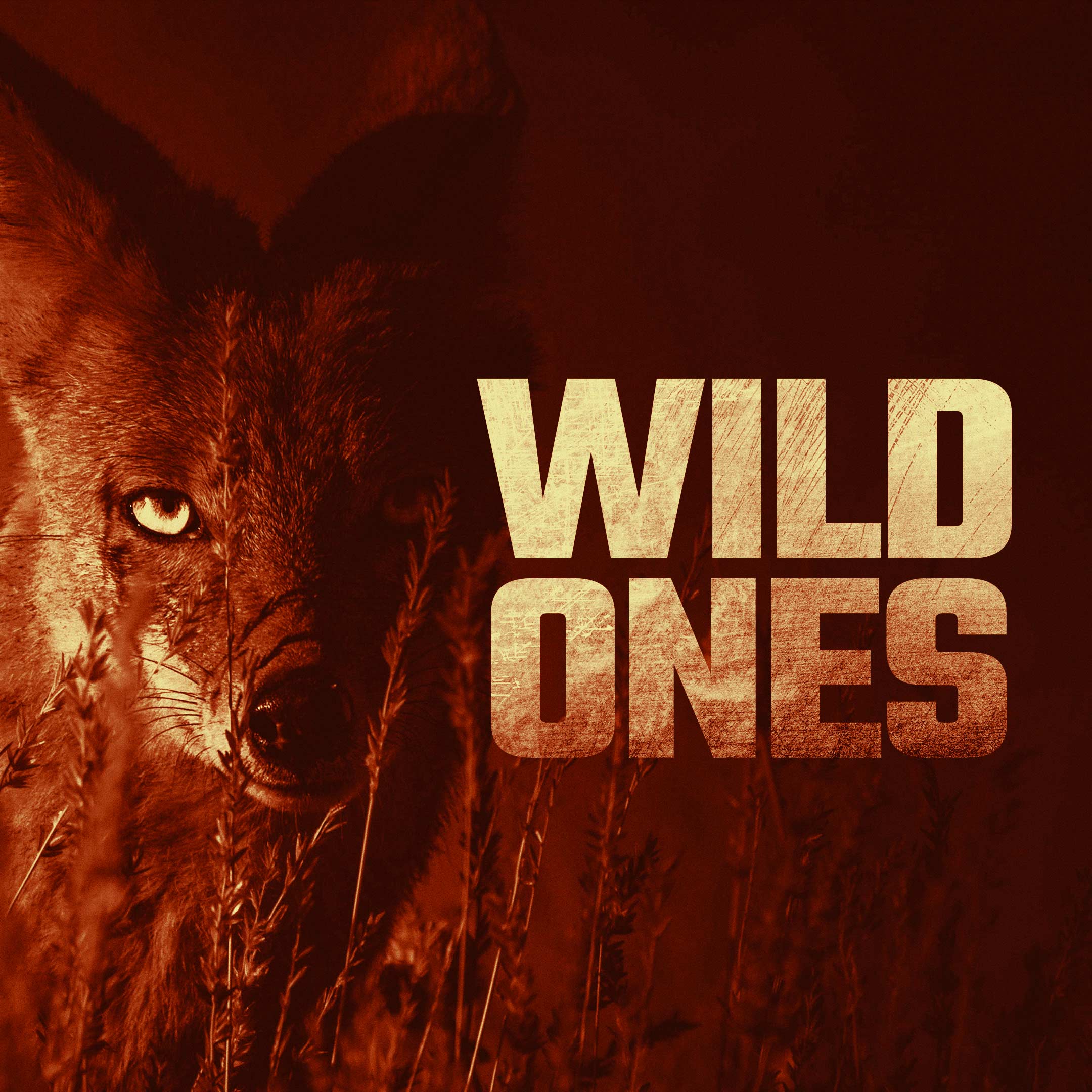 Wild Ones
