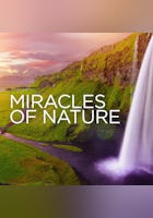 Miracles of Nature