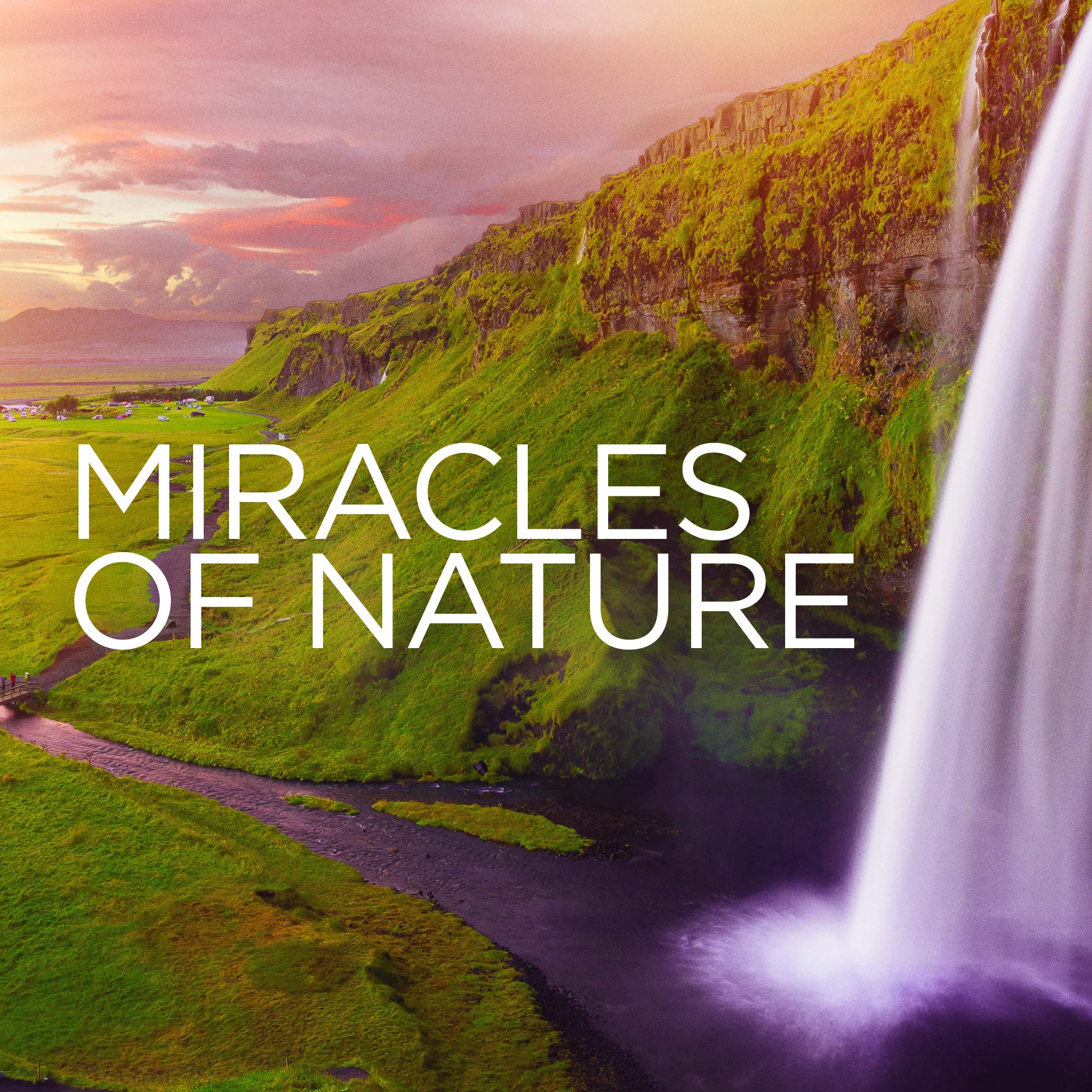 Miracles of Nature