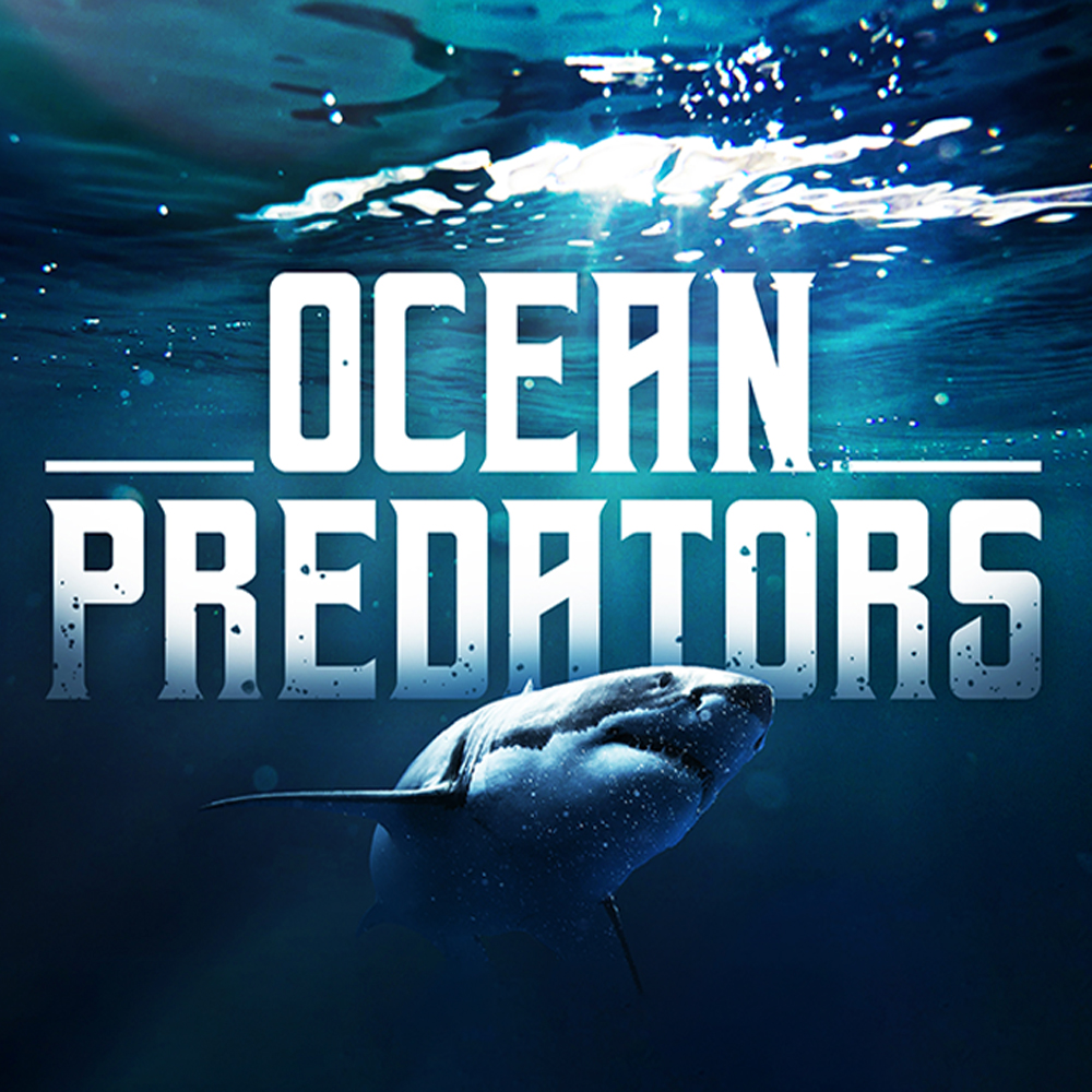 Ocean Predators