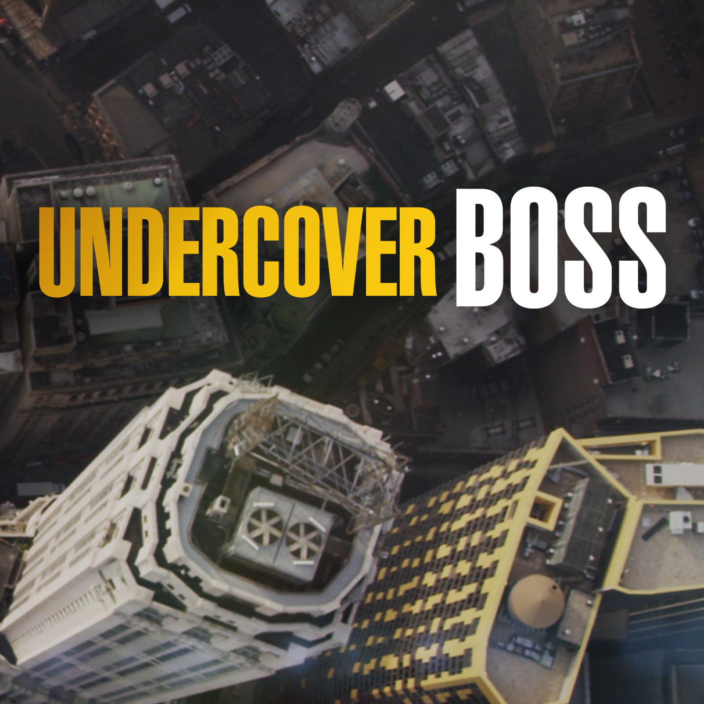 Undercover Boss