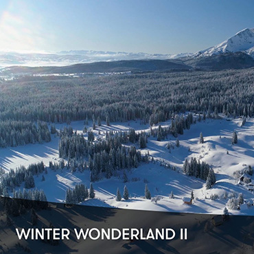 Winter Wonderland II