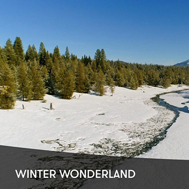 Winter Wonderland (Music)