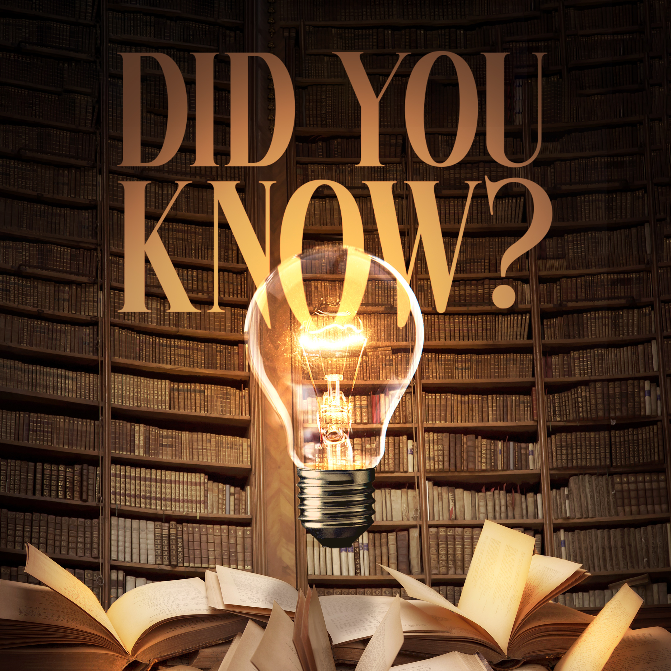 Did You Know?