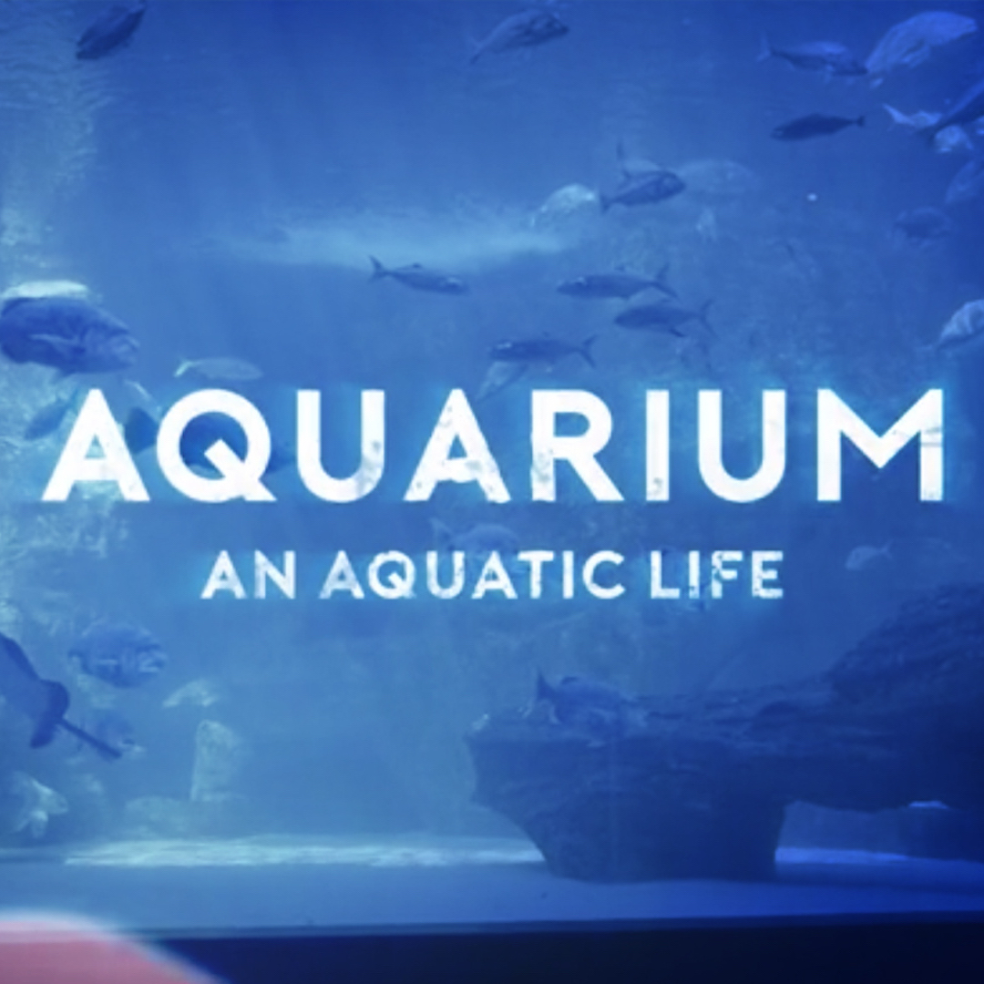 Aquarium: An Aquatic Life