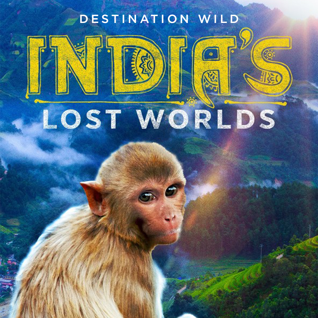 Destination Wild: India's Lost Worlds