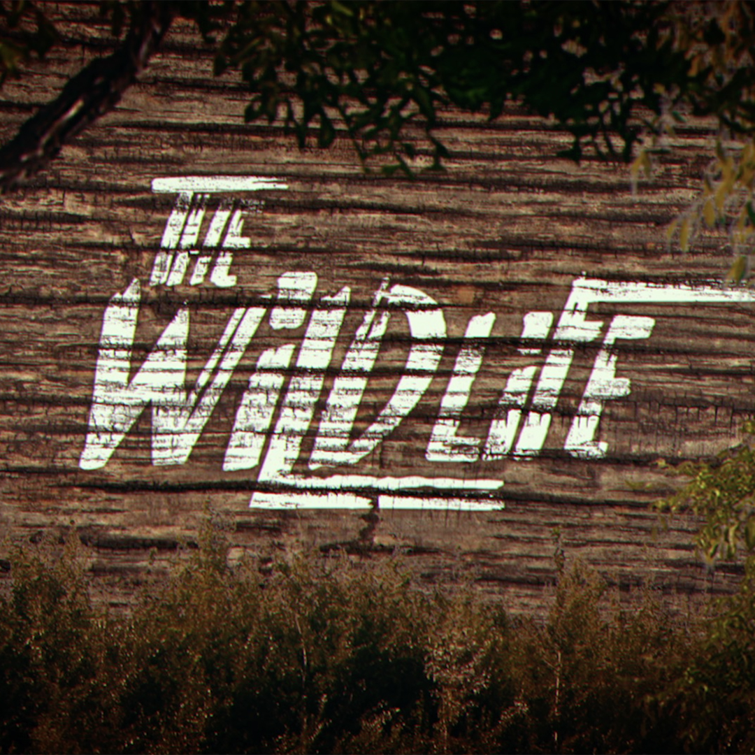 The Wildlife